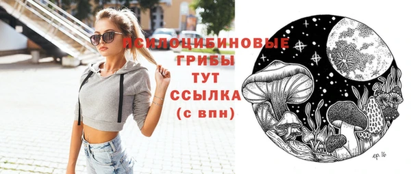 прущие грибы Нея