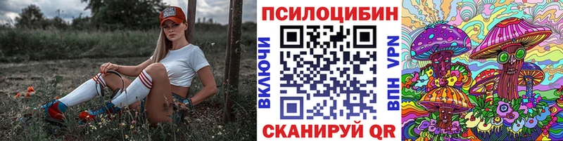 наркошоп  Покров  Псилоцибиновые грибы Psilocybe 